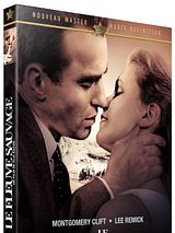 poster du film Le Fleuve sauvage