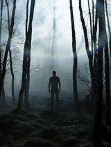 Affiche de Without Name, film à voir en streaming sur Pygargue
