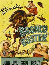 Affiche de Les Rois du rodéo, film à voir en streaming sur Pygargue