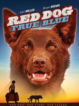 Affiche de Blue, mon Chien d'Australie, film à voir en streaming sur Pygargue