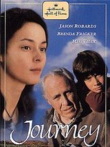 Affiche de Journey, film à voir en streaming sur Pygargue