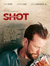 Affiche de Shot, film à voir en streaming sur Pygargue