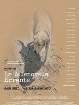 Affiche de La Telenovela Errante, film à voir en streaming sur Pygargue