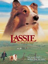 Affiche de Les Nouvelles aventures de Lassie, film à voir en streaming sur Pygargue