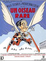 Affiche de Un Oiseau rare, film à voir en streaming sur Pygargue
