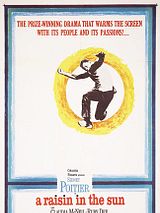 Affiche de Un raisin au soleil, film à voir en streaming sur Pygargue