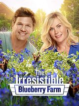 Affiche de Un amour irrésistible, film à voir en streaming sur Pygargue