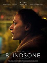 Affiche de Blind Spot, film à voir en streaming sur Pygargue