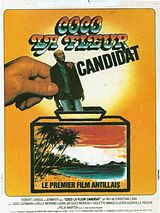 Affiche de Coco La Fleur, candidat, film à voir en streaming sur Pygargue