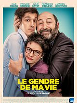Affiche de Le Gendre de ma vie, film à voir en streaming sur Pygargue