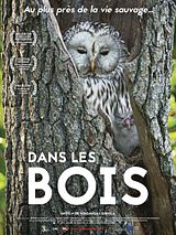 poster du film Dans les bois