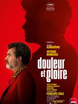 Affiche de Douleur et gloire, film à voir en streaming sur Pygargue