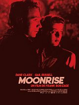 Affiche de Moonrise, film à voir en streaming sur Pygargue