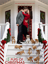 Affiche de 12 chiots pour Noël, film à voir en streaming sur Pygargue