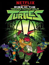 Affiche de Le Destin des Tortues Ninja : Le film, film à voir en streaming sur Pygargue