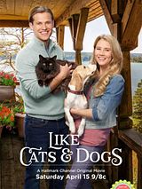 Affiche de L'amour comme chiens et chats, film à voir en streaming sur Pygargue