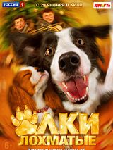 Affiche de Yoko et Pirate: duo de choc contre filous, film à voir en streaming sur Pygargue