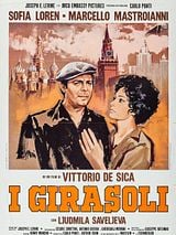 Affiche de Les Fleurs du soleil, film à voir en streaming sur Pygargue