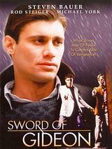 Affiche de Sword of Gideon, film à voir en streaming sur Pygargue