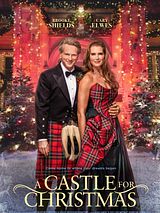 Affiche de Un Château pour Noël, film à voir en streaming sur Pygargue