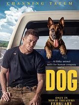 Affiche de Dog, film à voir en streaming sur Pygargue