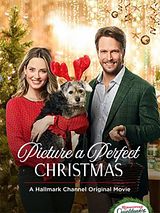 Affiche de Le Noël de Sophie, film à voir en streaming sur Pygargue
