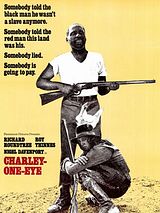Affiche de Charley Le Borgne, film à voir en streaming sur Pygargue