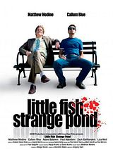 Affiche de Little Fish, Strange Pond, film à voir en streaming sur Pygargue
