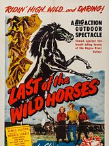 Affiche de Last of the Wild Horses, film à voir en streaming sur Pygargue