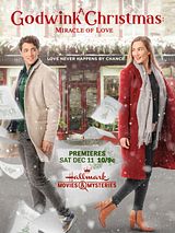 Affiche de Les fabuleux miracles de Noël, film à voir en streaming sur Pygargue