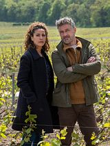 Affiche de Meurtres en Champagne, film à voir en streaming sur Pygargue