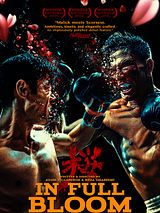 Affiche de Two Warriors : Le combat du siècle, film à voir en streaming sur Pygargue