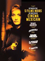 Affiche de Une aube différente, film à voir en streaming sur Pygargue