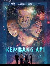 Affiche de Fireworks, film à voir en streaming sur Pygargue