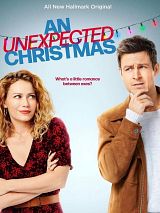 Affiche de Le Noël surprise d'Emily, film à voir en streaming sur Pygargue