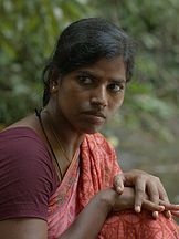 photo de Janagi