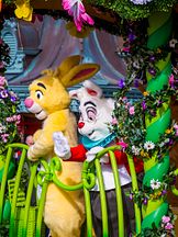 photo de Lapin Blanc