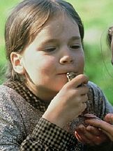 photo de Linda Bergström