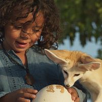 Photo Nahïl Bouazzaoui