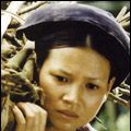 Photo Dung Nhi