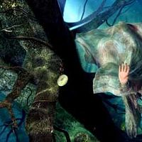 Photo Hong Chen