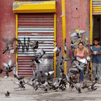 Photo Isamar Gonzales