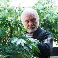 Photo Kenneth Welsh
