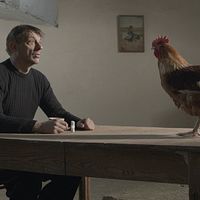 Photo Peter Van den Begin