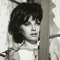 Photo Virna Lisi