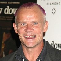 Photo Flea