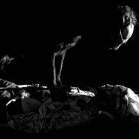 Photo Anaël Snoek