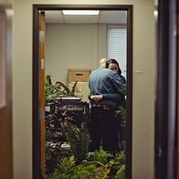 Photo Dave Merheje
