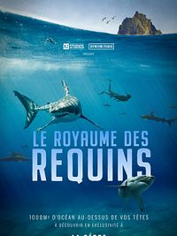 poster de Shark Kingdom