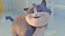 image de Croquette le chat merveilleux Bande-annonce VF